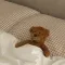orrnppreee_ stop