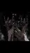 head