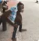 Steven The Monkey